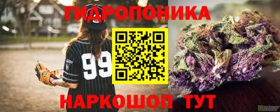 PSILOCYBIN Сланцы