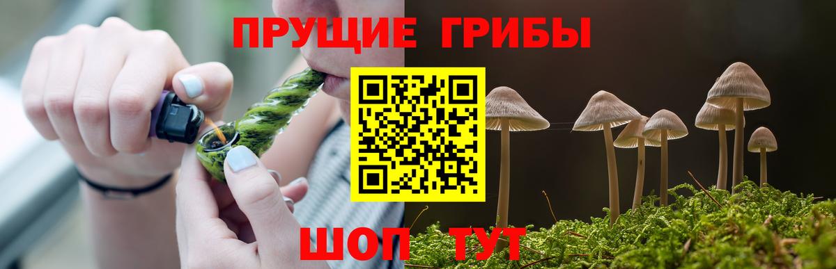 Псилоцибиновые грибы Psilocybe  Вход с VPN  Новый Уренгой  Псилоцибиновые грибы MAGIC MUSHROOMS 